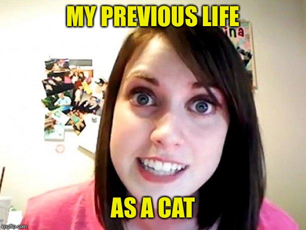 Overly Attached Girlfriend Pink | MY PREVIOUS LIFE AS A CAT | image tagged in overly attached girlfriend pink | made w/ Imgflip meme maker