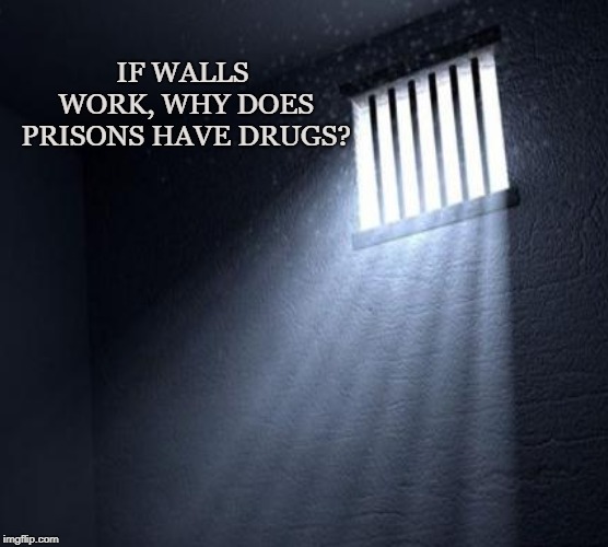 Trump's Wall | IF WALLS WORK, WHY DOES PRISONS HAVE DRUGS? | image tagged in trump,wall,drugs,prison,security,border | made w/ Imgflip meme maker