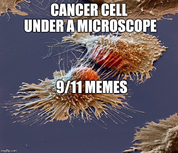 cancer cell under a microscope | CANCER CELL UNDER A MICROSCOPE; 9/11 MEMES | image tagged in cancer cell under a microscope | made w/ Imgflip meme maker