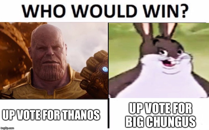 Chungus or thanos  | UP VOTE FOR THANOS; UP VOTE FOR BIG CHUNGUS | image tagged in big chungus | made w/ Imgflip meme maker