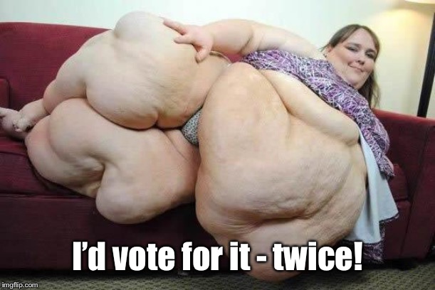 fat girl | I’d vote for it - twice! | image tagged in fat girl | made w/ Imgflip meme maker