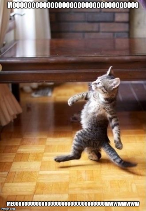 Cool Cat Stroll | MOOOOOOOOOOOOOOOOOOOOOOOOOOOOOOOOO; MEOOOOOOOOOOOOOOOOOOOOOOOOOOOOOOOOWWWWWWWW | image tagged in memes,cool cat stroll | made w/ Imgflip meme maker