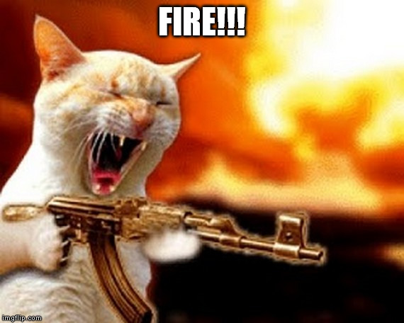 machine gun cat | FIRE!!! | image tagged in machine gun cat | made w/ Imgflip meme maker
