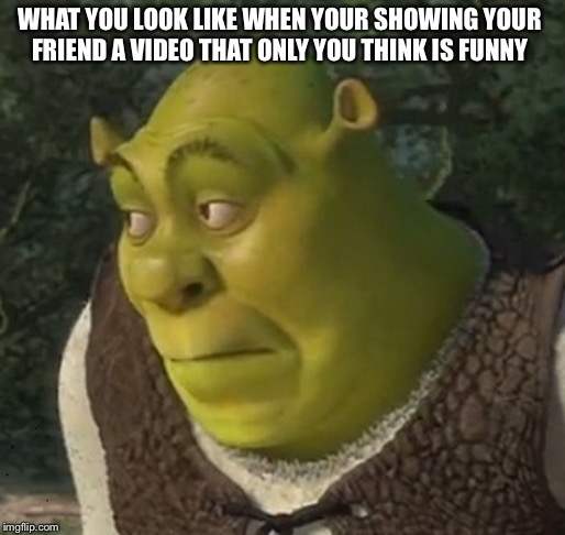 Sour face shrek | WHAT YOU LOOK LIKE WHEN YOUR SHOWING YOUR FRIEND A VIDEO THAT ONLY YOU THINK IS FUNNY | image tagged in sour face shrek | made w/ Imgflip meme maker