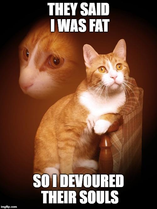 PTSD Cat | THEY SAID I WAS FAT; SO I DEVOURED THEIR SOULS | image tagged in ptsd cat | made w/ Imgflip meme maker