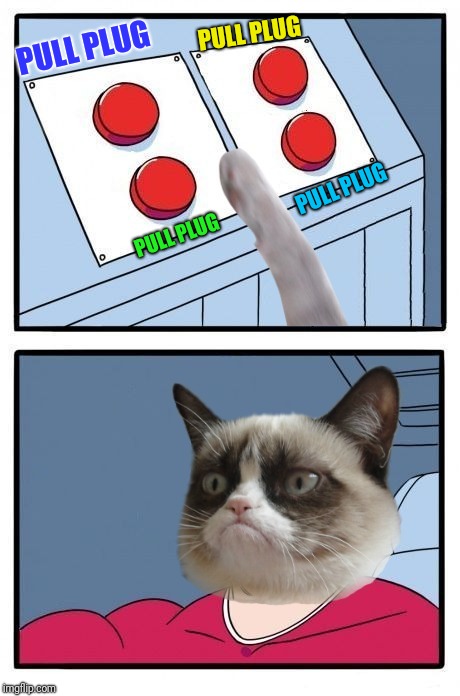 Grumpy Cat Four Buttons | PULL PLUG PULL PLUG PULL PLUG PULL PLUG | image tagged in grumpy cat four buttons | made w/ Imgflip meme maker