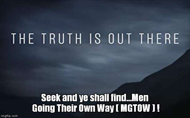 the truth is out there | Seek and ye shall find...Men Going Their Own Way ( MGTOW ) ! | image tagged in the truth is out there | made w/ Imgflip meme maker