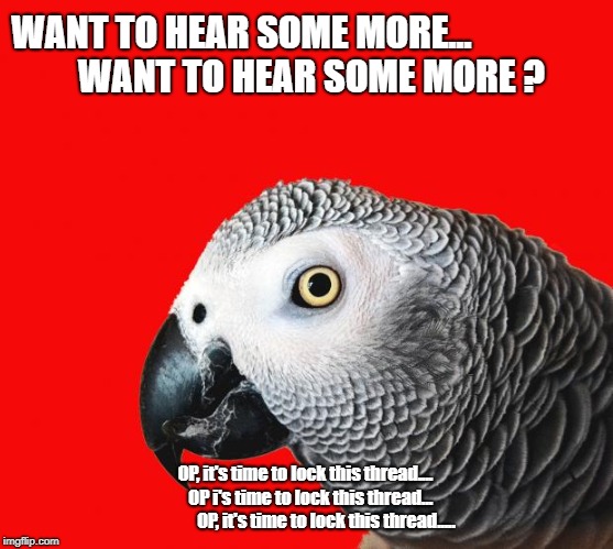 Repeating Parrot named Cishet | WANT TO HEAR SOME MORE...















 

WANT TO HEAR SOME MORE ? OP, it's time to lock this thread....



 
OP i's time to lock this thread... 







   OP, it's time to lock this thread..... | image tagged in repeating parrot named cishet | made w/ Imgflip meme maker