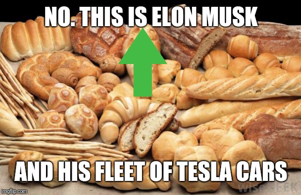 bread | NO. THIS IS ELON MUSK AND HIS FLEET OF TESLA CARS | image tagged in bread | made w/ Imgflip meme maker