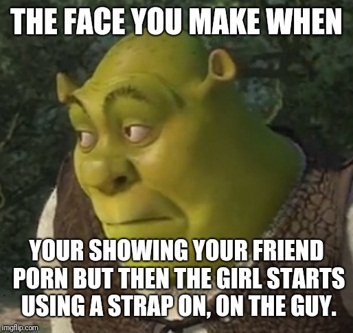 Sour face shrek | THE FACE YOU MAKE WHEN YOUR SHOWING YOUR FRIEND PORN BUT THEN THE GIRL STARTS USING A STRAP ON, ON THE GUY. | image tagged in sour face shrek | made w/ Imgflip meme maker