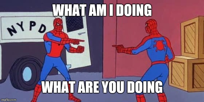 Spider Man Double | WHAT AM I DOING WHAT ARE YOU DOING | image tagged in spider man double | made w/ Imgflip meme maker
