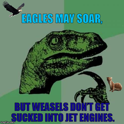 Be smart like a weasel and avoid jet engines if you're soaring. | EAGLES MAY SOAR, BUT WEASELS DON’T GET SUCKED INTO JET ENGINES. | image tagged in memes,philosoraptor | made w/ Imgflip meme maker