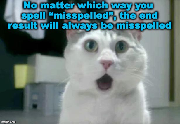 Did you know... | No matter which way you spell “misspelled”, the end result will always be misspelled | image tagged in memes,omg cat,misspelled | made w/ Imgflip meme maker
