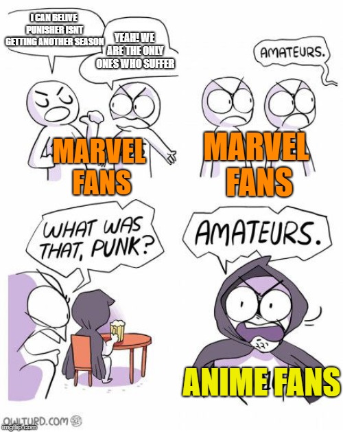 True pain... | I CAN BELIVE PUNISHER ISNT GETTING ANOTHER SEASON; YEAH! WE ARE THE ONLY ONES WHO SUFFER; MARVEL FANS; MARVEL FANS; ANIME FANS | image tagged in funny,memes,tv shows | made w/ Imgflip meme maker
