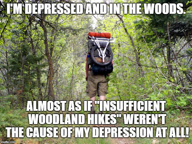 hiking away anger | I'M DEPRESSED AND IN THE WOODS. ALMOST AS IF "INSUFFICIENT WOODLAND HIKES" WEREN'T THE CAUSE OF MY DEPRESSION AT ALL! | image tagged in hiking away anger | made w/ Imgflip meme maker