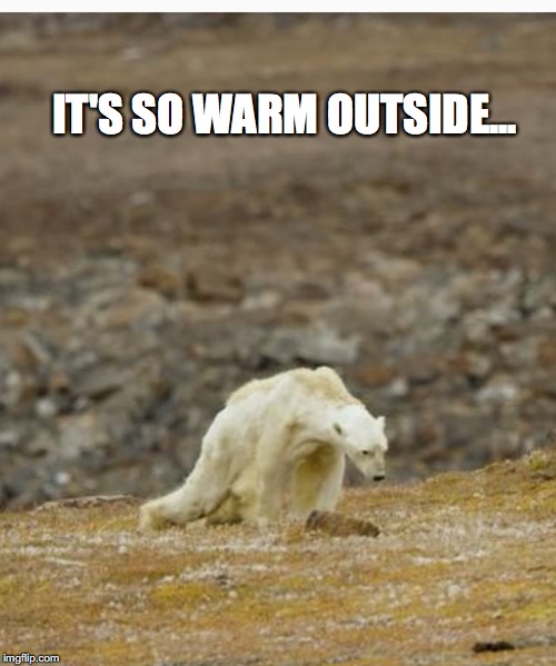 warm weather | IT'S SO WARM OUTSIDE... | image tagged in warm,warm weather,global warming,climate change,polar bear,warm february | made w/ Imgflip meme maker