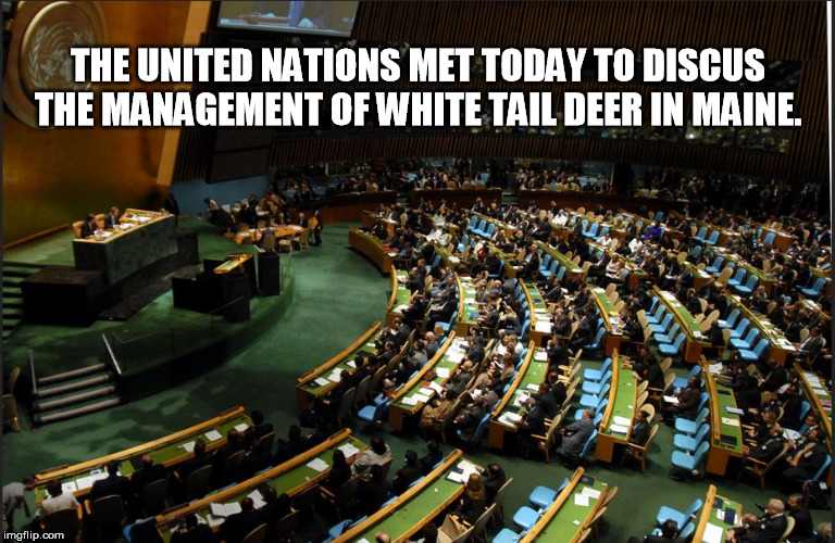 UN United nations gun regulation  | THE UNITED NATIONS MET TODAY TO DISCUS THE MANAGEMENT OF WHITE TAIL DEER IN MAINE. | image tagged in gun regulations,2nd amendment,united nations | made w/ Imgflip meme maker