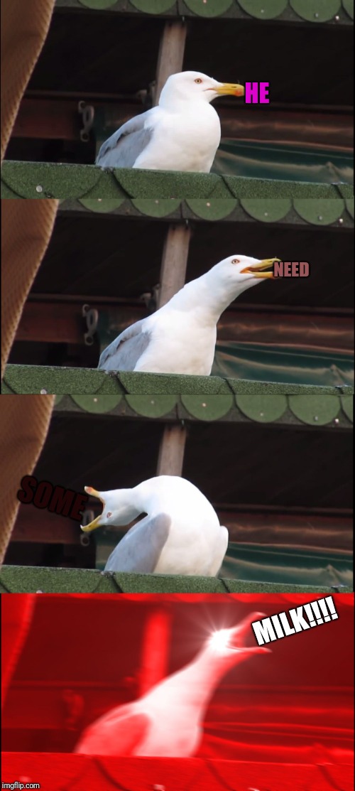 Inhaling Seagull | HE; NEED; SOME; MILK!!!! | image tagged in memes,inhaling seagull | made w/ Imgflip meme maker