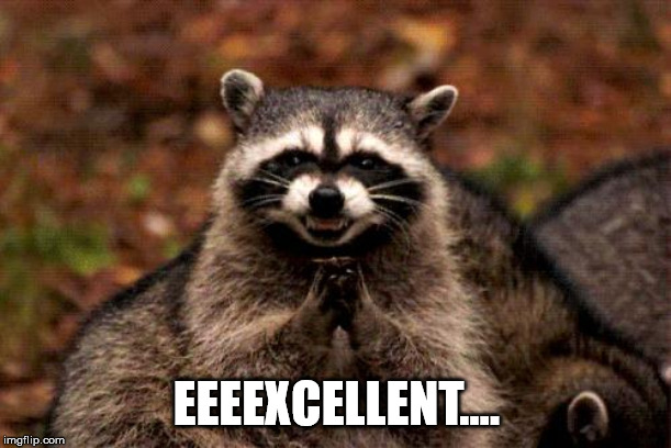 Evil Plotting Raccoon Meme | EEEEXCELLENT.... | image tagged in memes,evil plotting raccoon | made w/ Imgflip meme maker