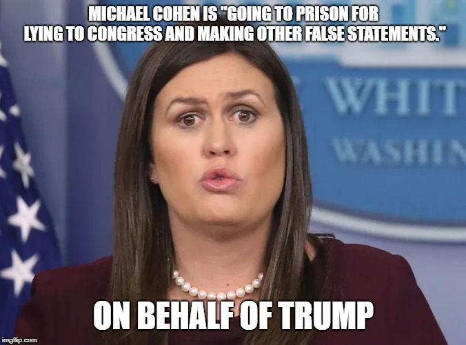 Cohen lied for Trump | MICHAEL COHEN IS "GOING TO PRISON FOR LYING TO CONGRESS AND MAKING OTHER FALSE STATEMENTS."; ON BEHALF OF TRUMP | image tagged in donald trump,sarah huckabee sanders,michael cohen | made w/ Imgflip meme maker