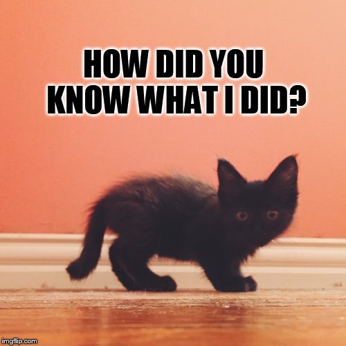 HOW DID YOU KNOW WHAT I DID? | made w/ Imgflip meme maker