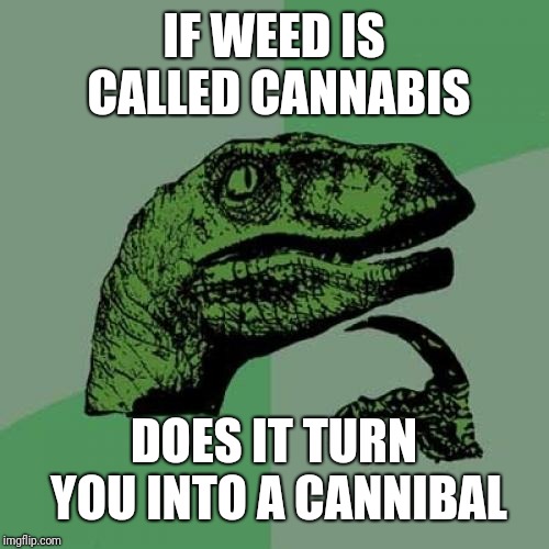 Philosoraptor Meme | IF WEED IS CALLED CANNABIS; DOES IT TURN YOU INTO A CANNIBAL | image tagged in memes,philosoraptor | made w/ Imgflip meme maker