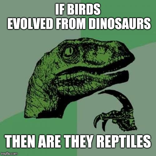 Philosoraptor Meme | IF BIRDS EVOLVED FROM DINOSAURS; THEN ARE THEY REPTILES | image tagged in memes,philosoraptor | made w/ Imgflip meme maker