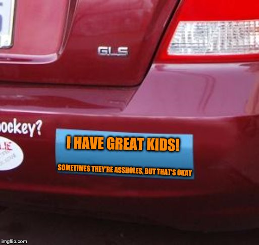 Bumper Sticker | I HAVE GREAT KIDS! SOMETIMES THEY'RE ASSHOLES, BUT THAT'S OKAY | image tagged in bumper sticker | made w/ Imgflip meme maker