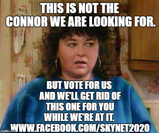 Roseanne Barr | THIS IS NOT THE CONNOR WE ARE LOOKING FOR. BUT VOTE FOR US AND WE'LL GET RID OF THIS ONE FOR YOU WHILE WE'RE AT IT.  WWW.FACEBOOK.COM/SKYNET2020 | image tagged in roseanne barr | made w/ Imgflip meme maker