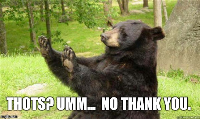 How about no bear without text | THOTS? UMM...  NO THANK YOU. | image tagged in how about no bear without text | made w/ Imgflip meme maker