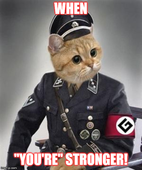 Grammar Nazi Cat | WHEN "YOU'RE" STRONGER! | image tagged in grammar nazi cat | made w/ Imgflip meme maker