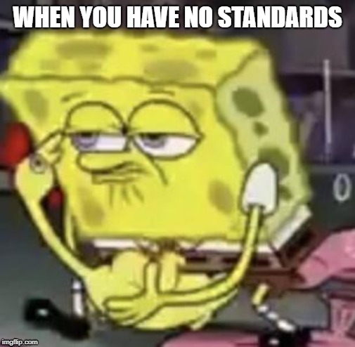 WHEN YOU HAVE NO STANDARDS | image tagged in spongebob,funny | made w/ Imgflip meme maker