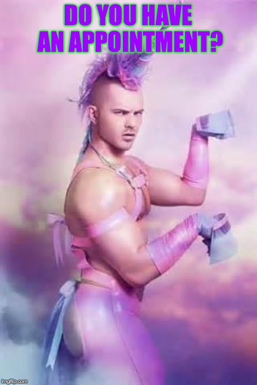 Gay Unicorn | DO YOU HAVE AN APPOINTMENT? | image tagged in gay unicorn | made w/ Imgflip meme maker