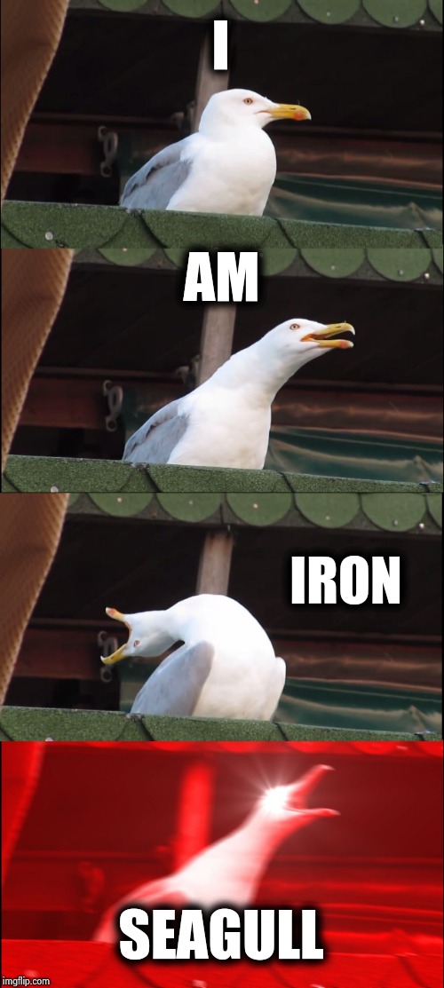 Inhaling Seagull Meme | I AM IRON SEAGULL | image tagged in memes,inhaling seagull | made w/ Imgflip meme maker