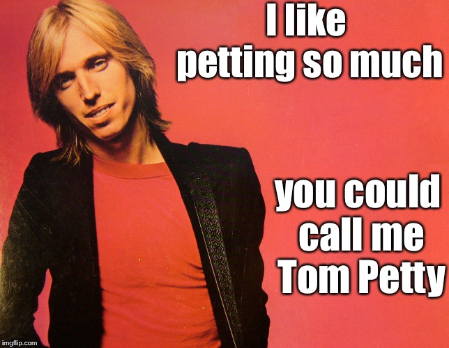 Tom Petty | I like petting so much you could call me Tom Petty | image tagged in tom petty | made w/ Imgflip meme maker