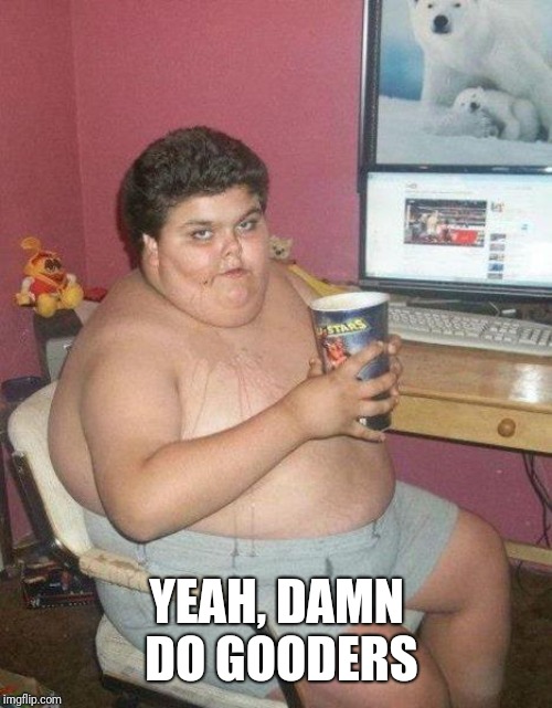 fat boy | YEAH, DAMN DO GOODERS | image tagged in fat boy | made w/ Imgflip meme maker