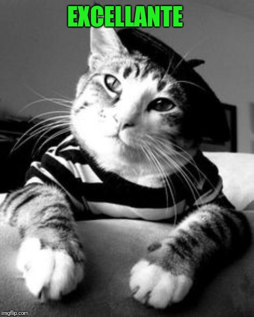 French Cat | EXCELLANTE | image tagged in french cat | made w/ Imgflip meme maker