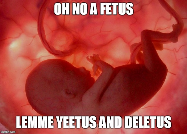 fetus | OH NO A FETUS; LEMME YEETUS AND DELETUS | image tagged in fetus | made w/ Imgflip meme maker