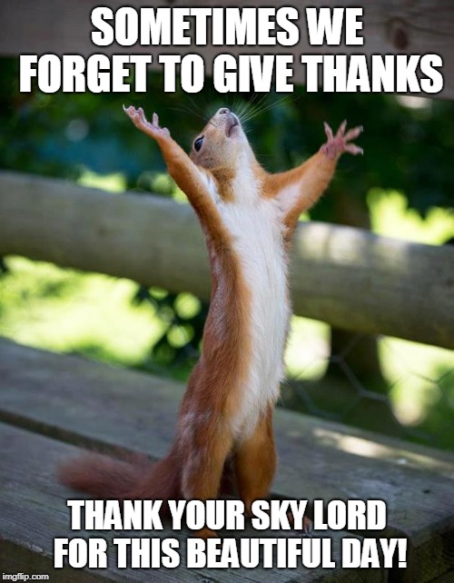 Squirrel giving thanks | SOMETIMES WE FORGET TO GIVE THANKS; THANK YOUR SKY LORD FOR THIS BEAUTIFUL DAY! | image tagged in squirrel giving thanks | made w/ Imgflip meme maker