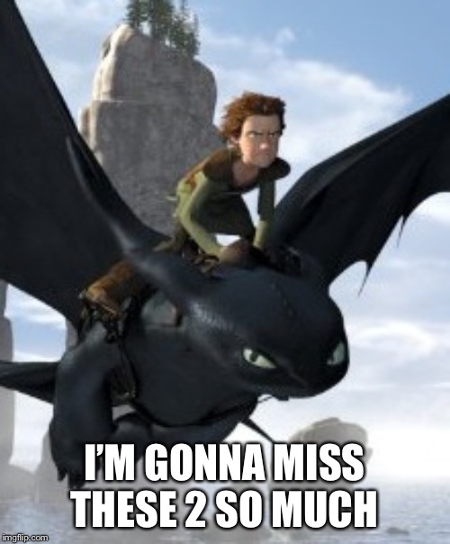 How to train your dragon | I’M GONNA MISS THESE 2 SO MUCH | image tagged in how to train your dragon | made w/ Imgflip meme maker