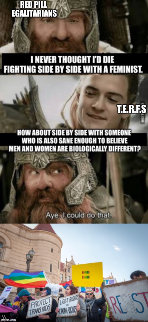 Gimli and Legolas culture war | RED PILL EGALITARIANS; T.E.R.F.S | image tagged in feminism | made w/ Imgflip meme maker