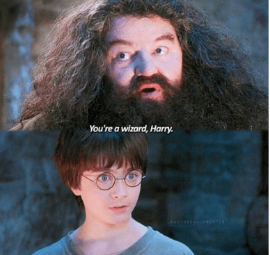 You're a wizard Harry Blank Meme Template