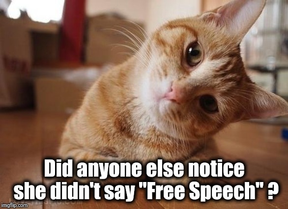 Curious Question Cat | Did anyone else notice she didn't say "Free Speech" ? | image tagged in curious question cat | made w/ Imgflip meme maker