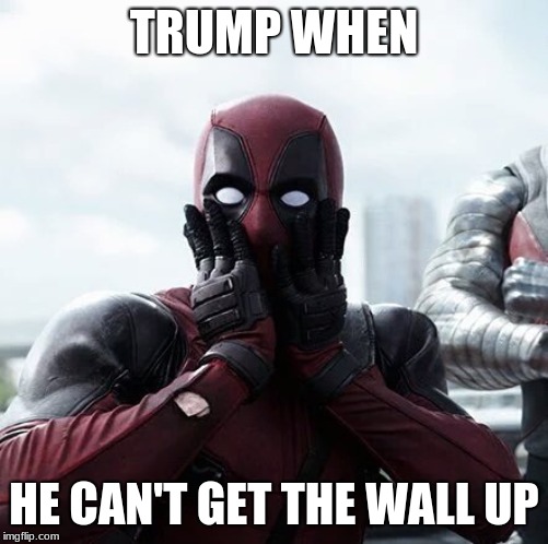 Deadpool Surprised | TRUMP WHEN; HE CAN'T GET THE WALL UP | image tagged in memes,deadpool surprised | made w/ Imgflip meme maker