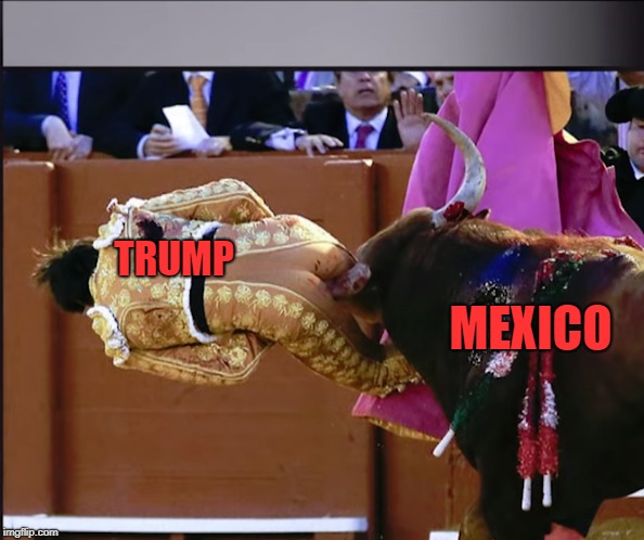 The REAL reason Trump wants a wall! | MEXICO; TRUMP | image tagged in trump,mexico,trump wall | made w/ Imgflip meme maker