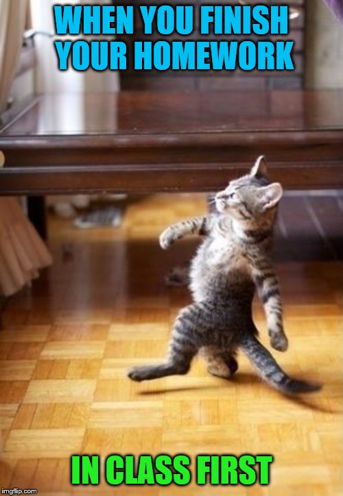 Cool Cat Stroll Meme | WHEN YOU FINISH YOUR HOMEWORK; IN CLASS FIRST | image tagged in memes,cool cat stroll | made w/ Imgflip meme maker