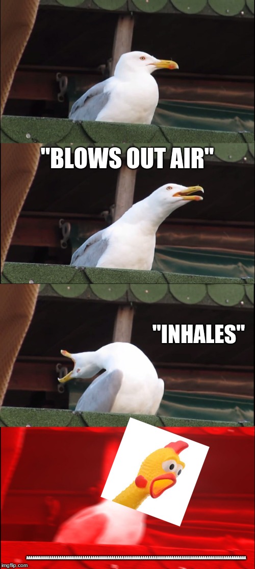 Inhaling Seagull Meme | "BLOWS OUT AIR"; "INHALES"; AAAAAAAAAAAAAAAAAAAAAAAAAAAAAAAAAAAAAAAAAAAAAAAAAAAAAAAAAAAAAAAAAAAAAAAAAAAAAAAAAAAAAAAAAAAAAAAAAAAAAAAAAA | image tagged in memes,inhaling seagull | made w/ Imgflip meme maker