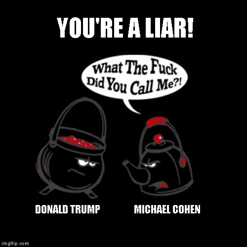 The Pot Calling The Kettle Black | YOU'RE A LIAR! DONALD TRUMP                 MICHAEL COHEN | image tagged in trump is a liar,michael cohen,testimony,congress,impeach trump | made w/ Imgflip meme maker