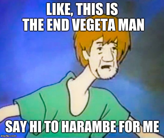 Confused shaggy  | LIKE, THIS IS THE END VEGETA MAN; SAY HI TO HARAMBE FOR ME | image tagged in confused shaggy | made w/ Imgflip meme maker