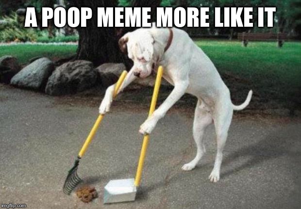 Dog poop | A POOP MEME MORE LIKE IT | image tagged in dog poop | made w/ Imgflip meme maker